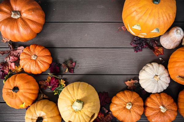 How to Have a Sustainable and Organic Halloween
